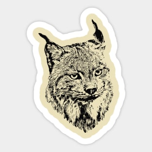 Lynx Sticker